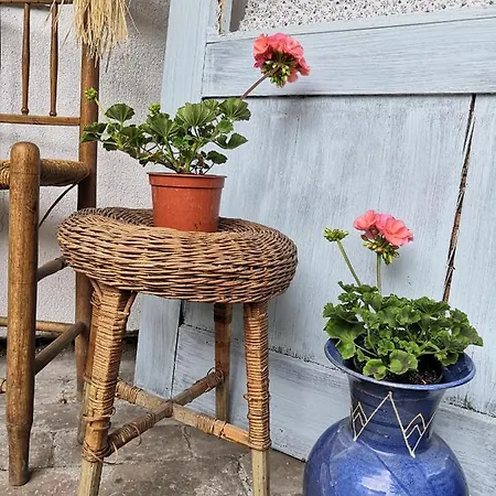 Manfa-gyoengy Vendeghaz 招待所