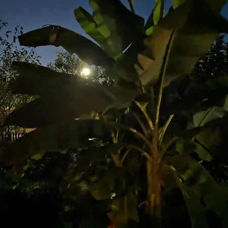 Manfa-gyoengy Vendeghaz 3* Manfa